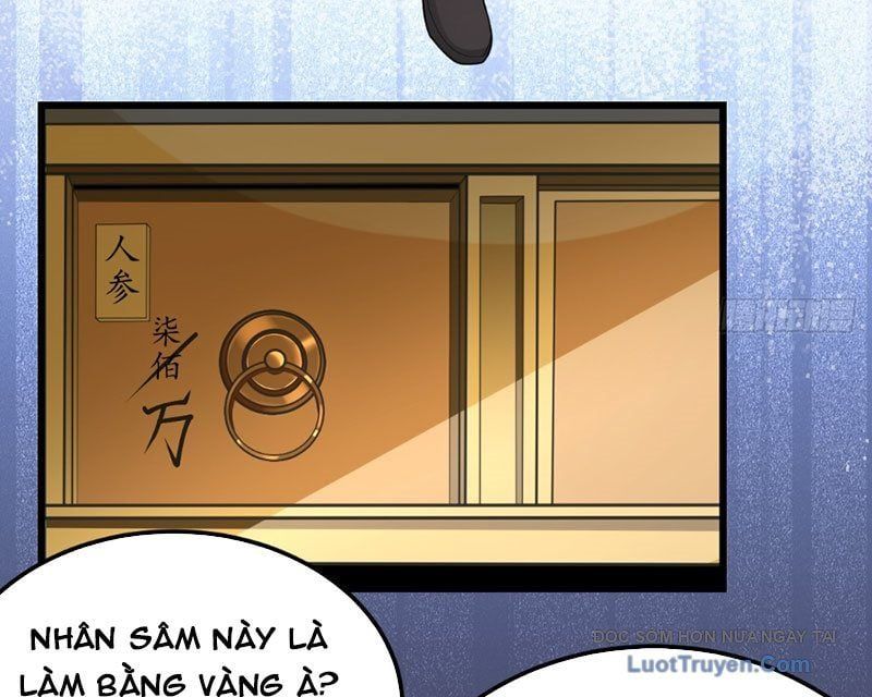 Người Khác Luyện Cấp Ta Tu Tiên, Tới Đại Thừa Kỳ Thì Rời Núi Chap 13 - Next Chap 14