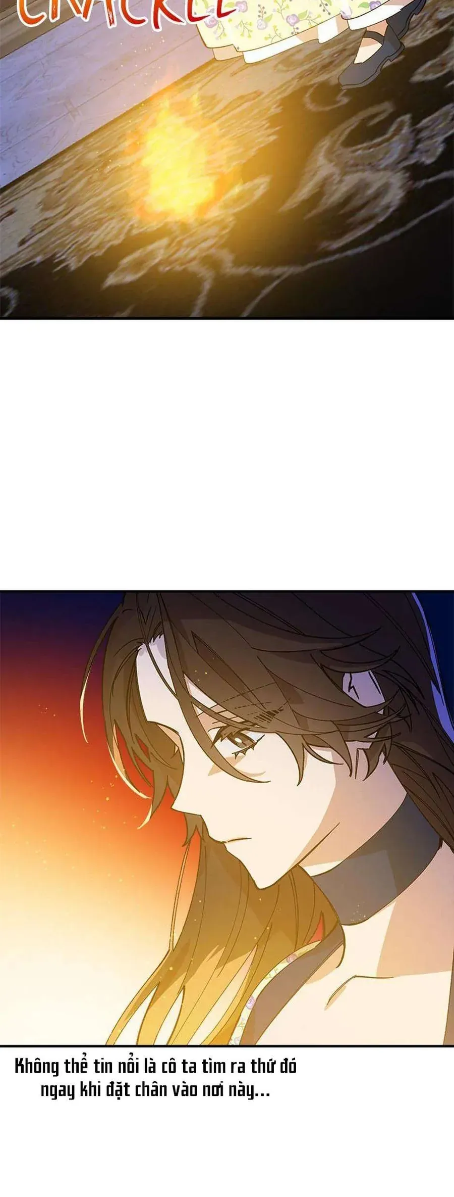 Bệ Hạ, Xin Người Hãy Dừng Lại Đi! Chap 4 - Next Chap 5