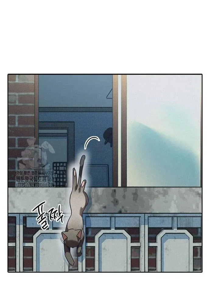 Thập Chi Nhị Thiếu Nữ Chap 2 - Next Chap 3