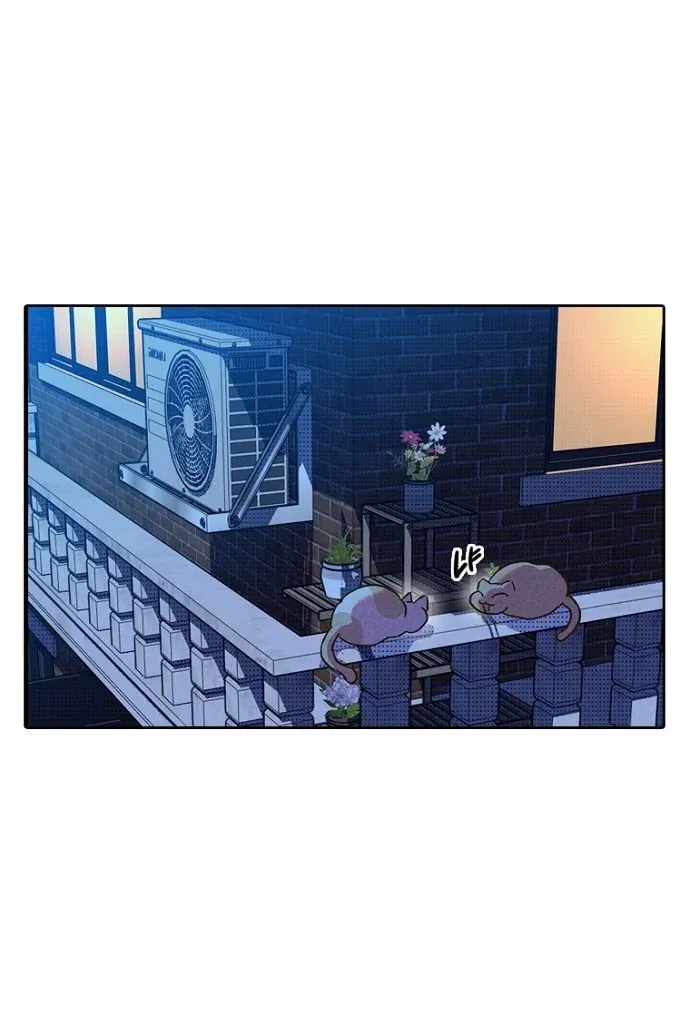 Thập Chi Nhị Thiếu Nữ Chap 5 - Next Chap 6