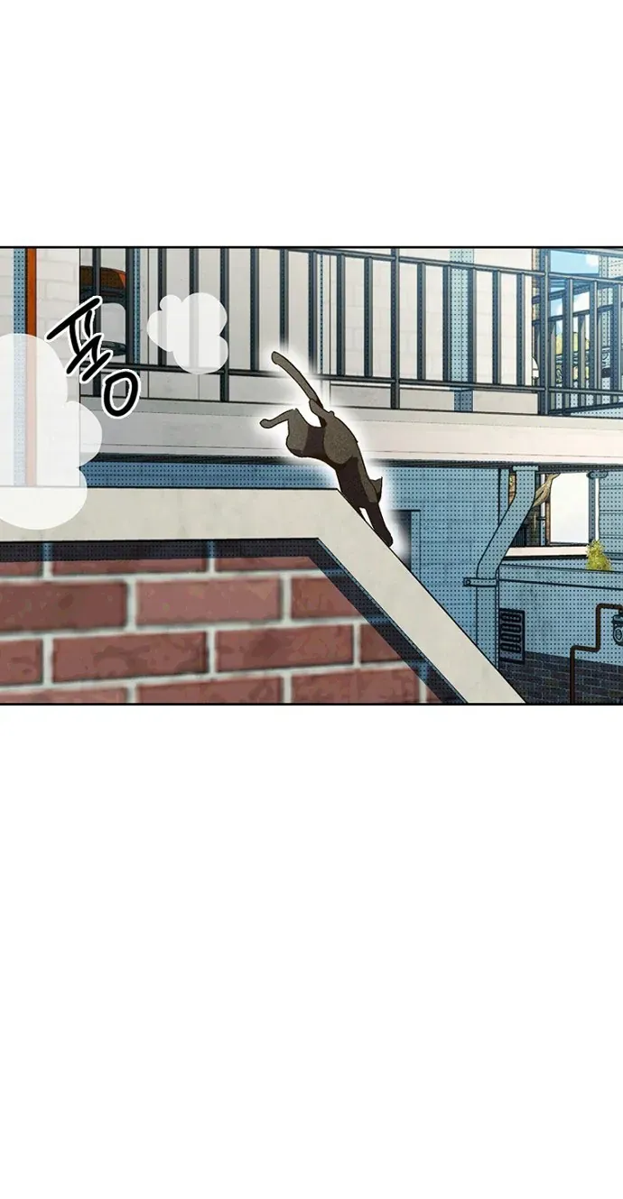 Thập Chi Nhị Thiếu Nữ Chap 5 - Next Chap 6