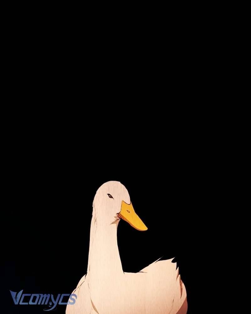 Hãy Dạy Em Cách Khao Khát Chap 16 - Next Chap 17