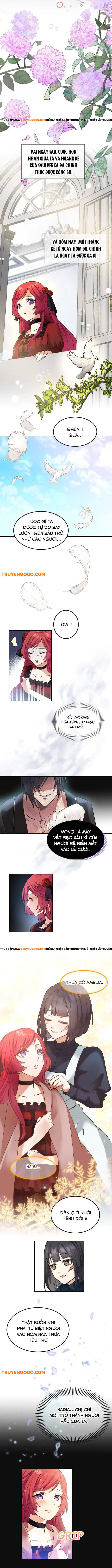 Vũ Khí Báo Thù, Giọt Lệ Tẩm Độc Chap 2 - Next Chap 3