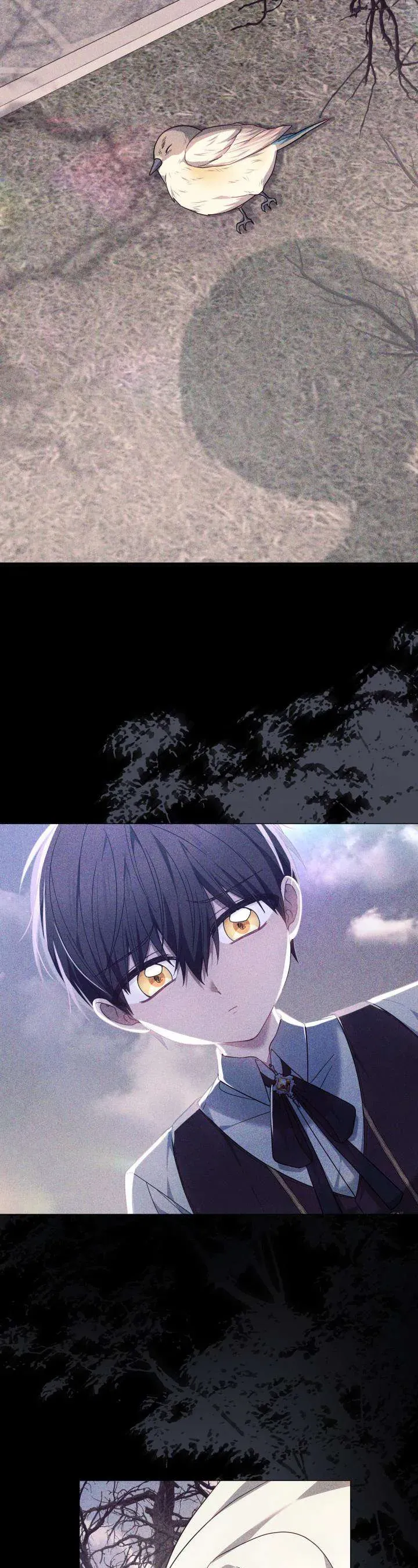 Tiểu Thư Mạnh Mẽ Muốn Trở Nên Yếu Đuối Chap 11 - Next Chap 12