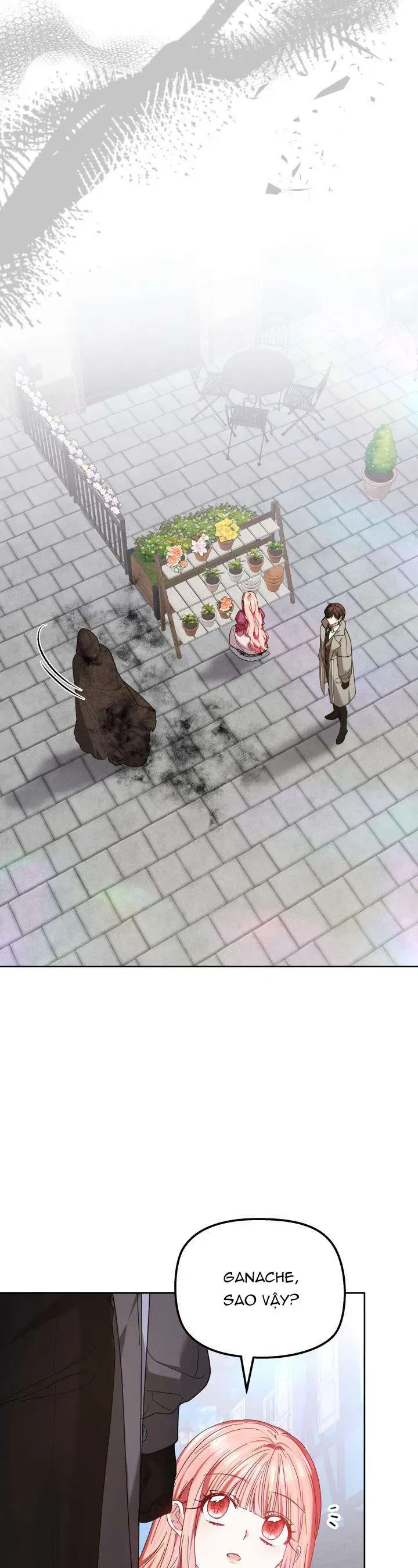 Tiểu Thư Mạnh Mẽ Muốn Trở Nên Yếu Đuối Chap 9 - Next Chap 10