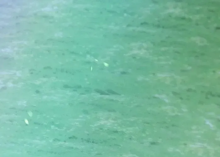 Cánh Tay Tà Ác Chap 1 - Next Chap 2