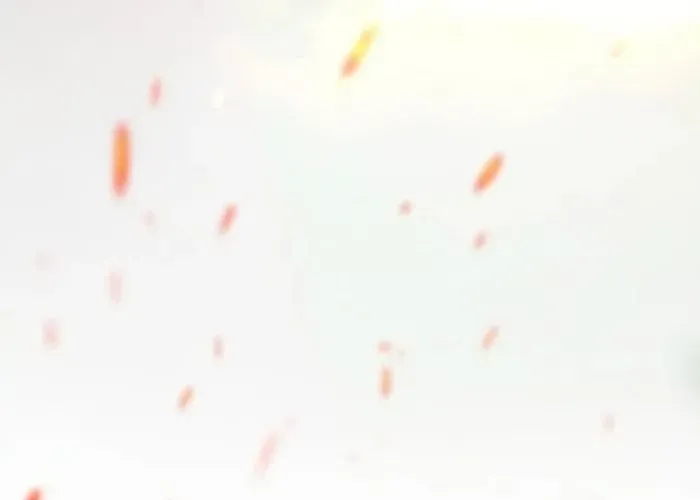 Cánh Tay Tà Ác Chap 3 - Next Chap 4