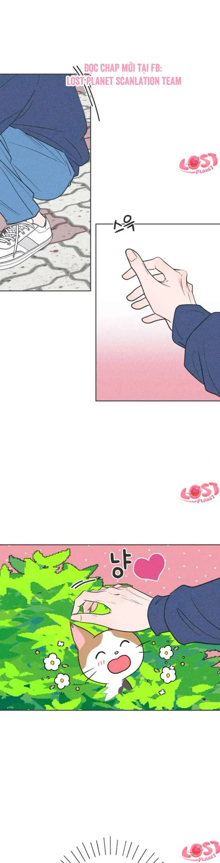 Phá Hỏng Mối Tình Đơn Phương Chap 2 - Next Chap 3