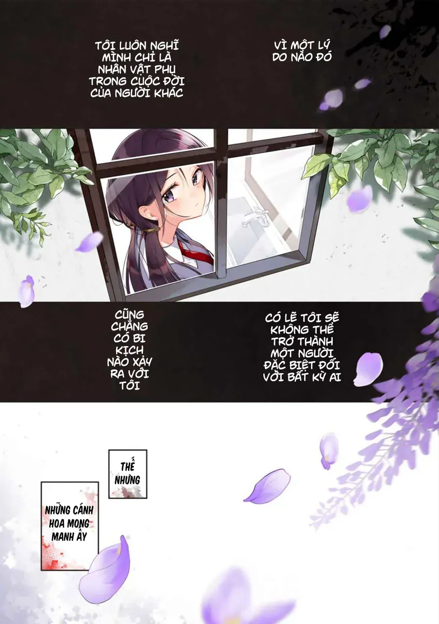 Tiểu Thư Shirotae, Đây Là Bí Mật Nhé Chap 1 - Next Chap 2