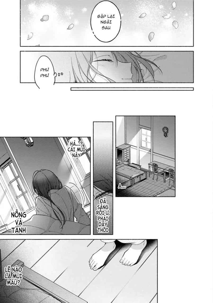 Tiểu Thư Shirotae, Đây Là Bí Mật Nhé Chap 1 - Next Chap 2