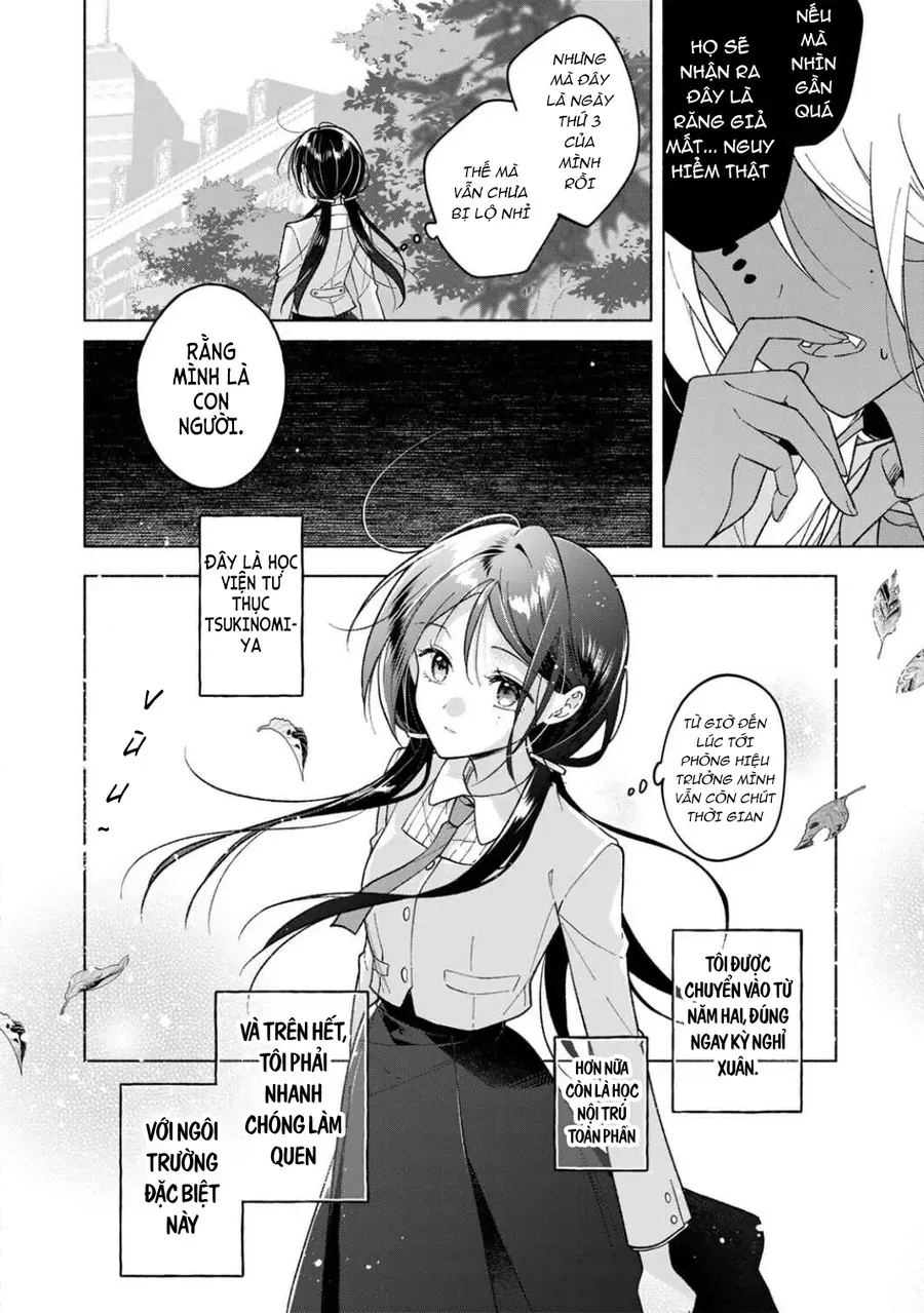 Tiểu Thư Shirotae, Đây Là Bí Mật Nhé Chap 1 - Next Chap 2