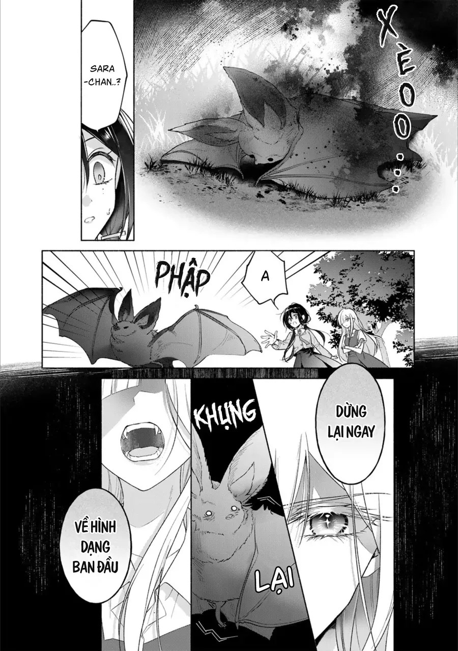 Tiểu Thư Shirotae, Đây Là Bí Mật Nhé Chap 2 - Next Chap 3