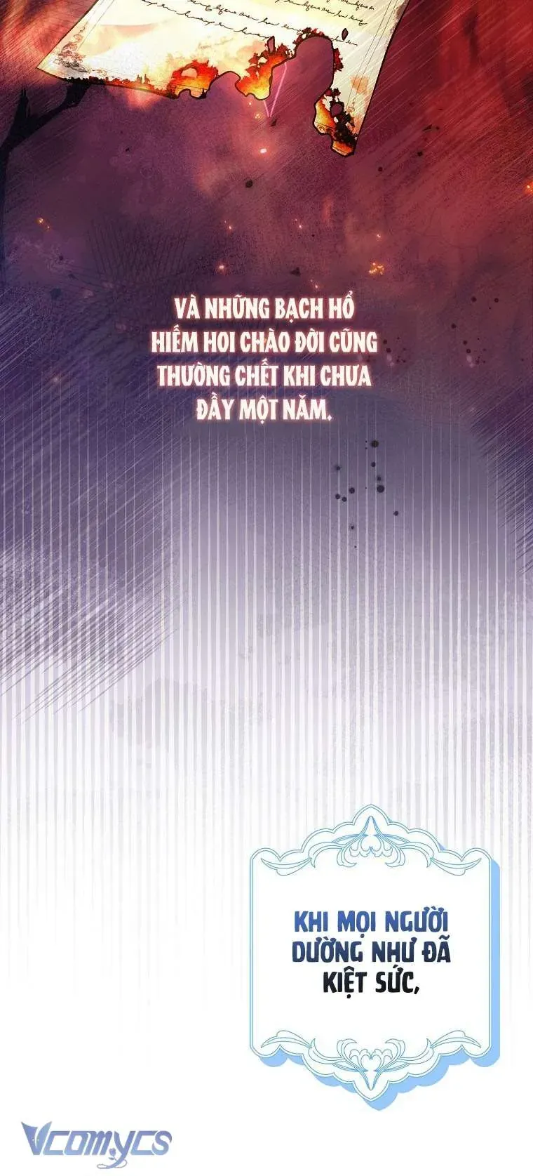 Công Chúa Bạch Hổ Không Có Nguy Hiểm Nha! Chap 1 - Next Chap 2