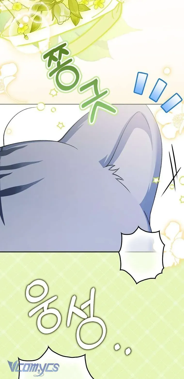 Công Chúa Bạch Hổ Không Có Nguy Hiểm Nha! Chap 3 - Next Chap 4