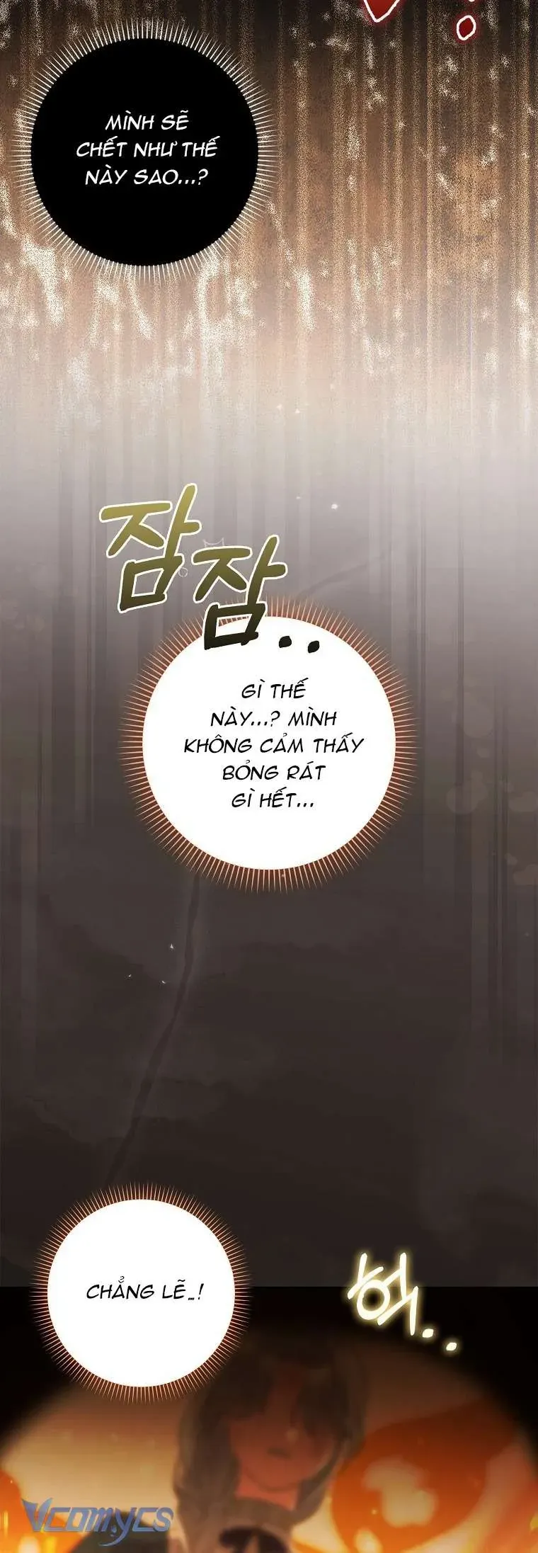 Công Chúa Bạch Hổ Không Có Nguy Hiểm Nha! Chap 3 - Next Chap 4