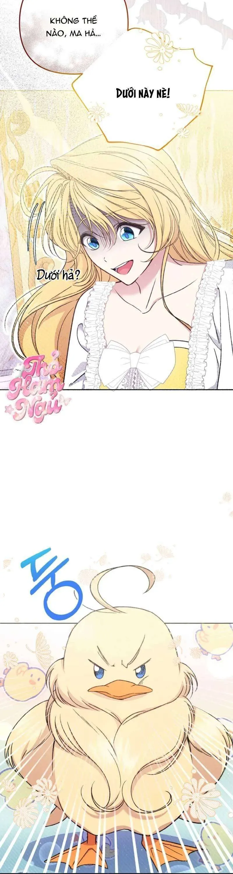 Nàng Vịt Chờ Ngày Hủy Hôn Chap 2 - Next Chap 3