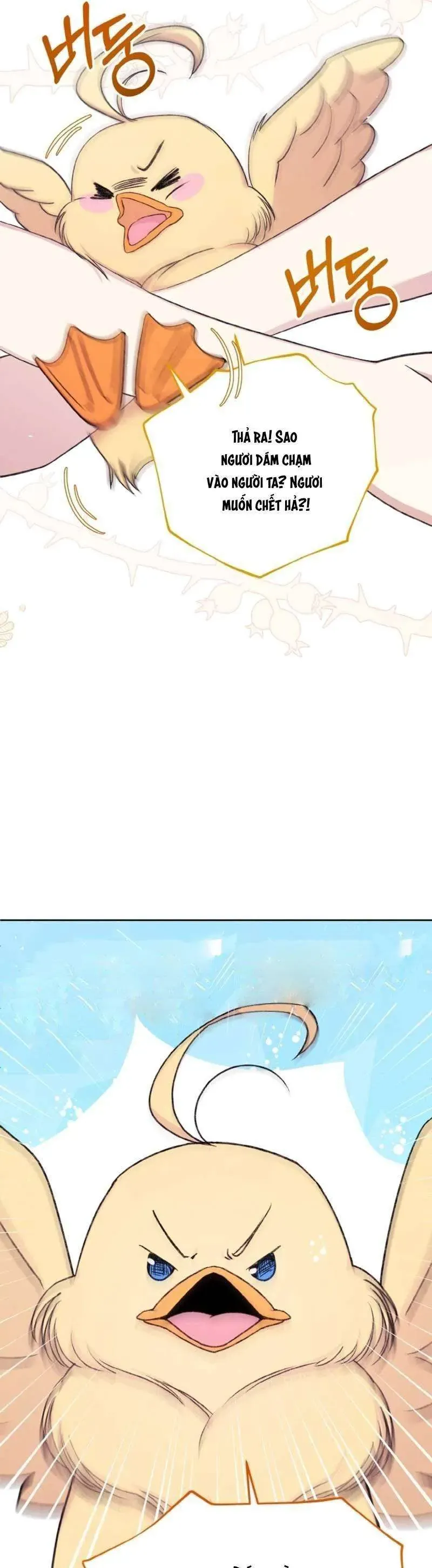 Nàng Vịt Chờ Ngày Hủy Hôn Chap 2 - Next Chap 3