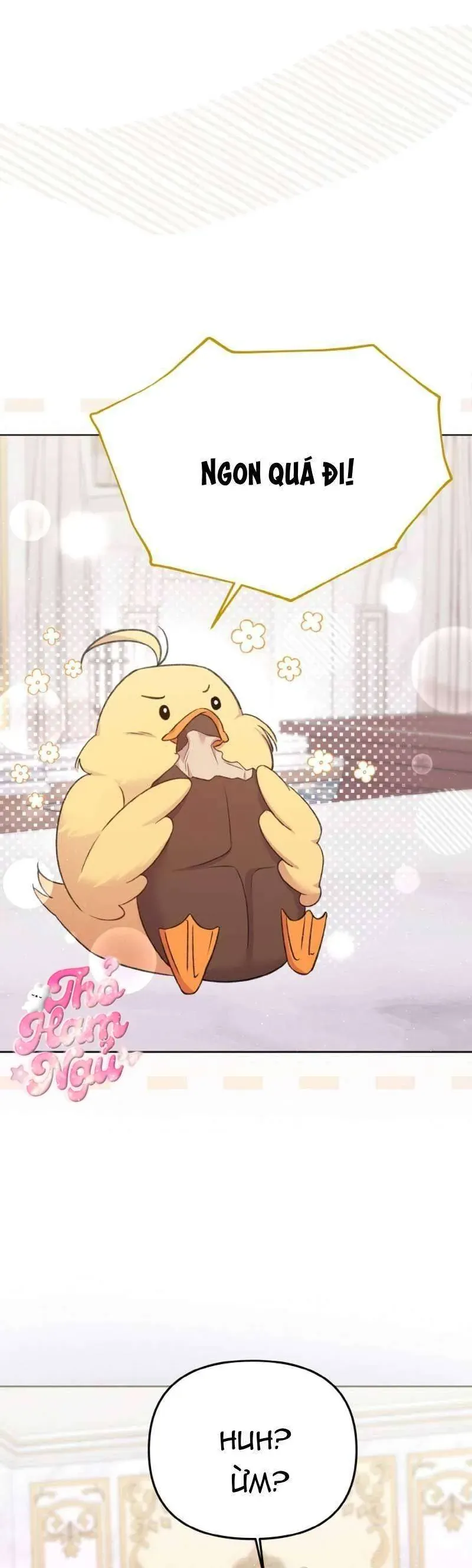 Nàng Vịt Chờ Ngày Hủy Hôn Chap 2 - Next Chap 3