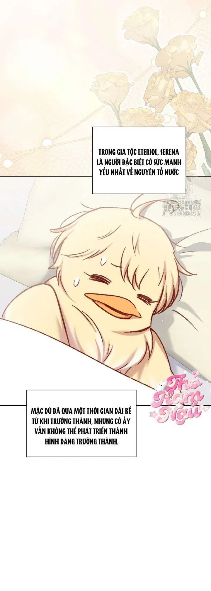 Nàng Vịt Chờ Ngày Hủy Hôn Chap 34 - Next Chap 35