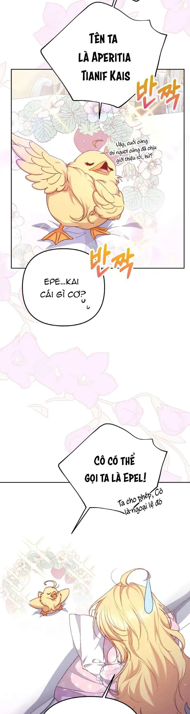 Nàng Vịt Chờ Ngày Hủy Hôn Chap 4 - Next Chap 5