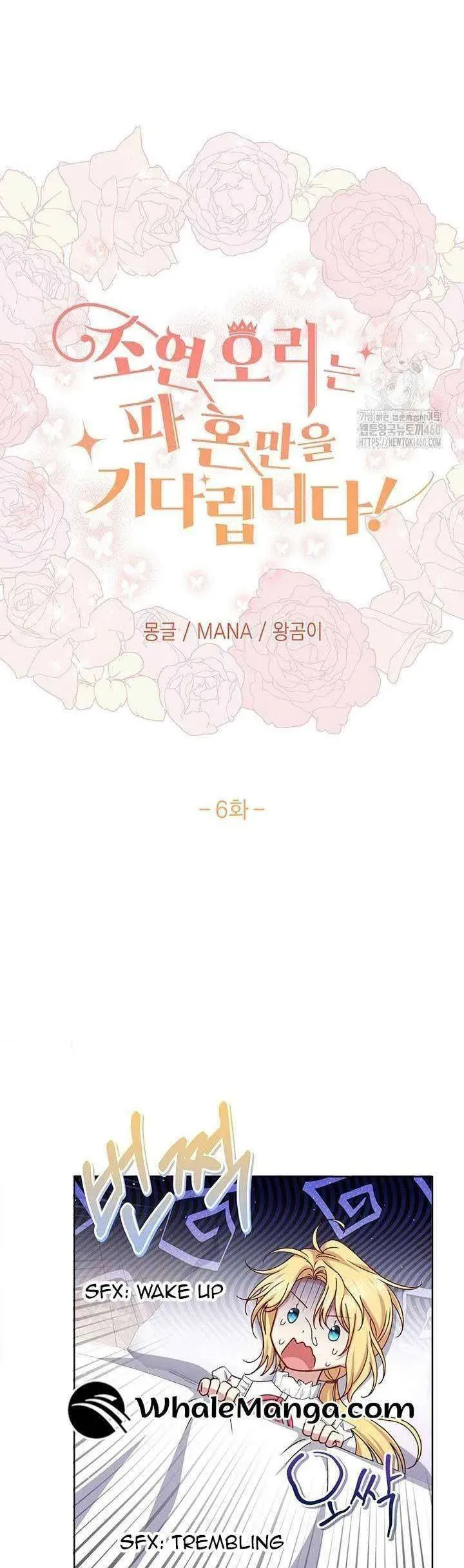 Nàng Vịt Chờ Ngày Hủy Hôn Chap 6 - Next Chap 7