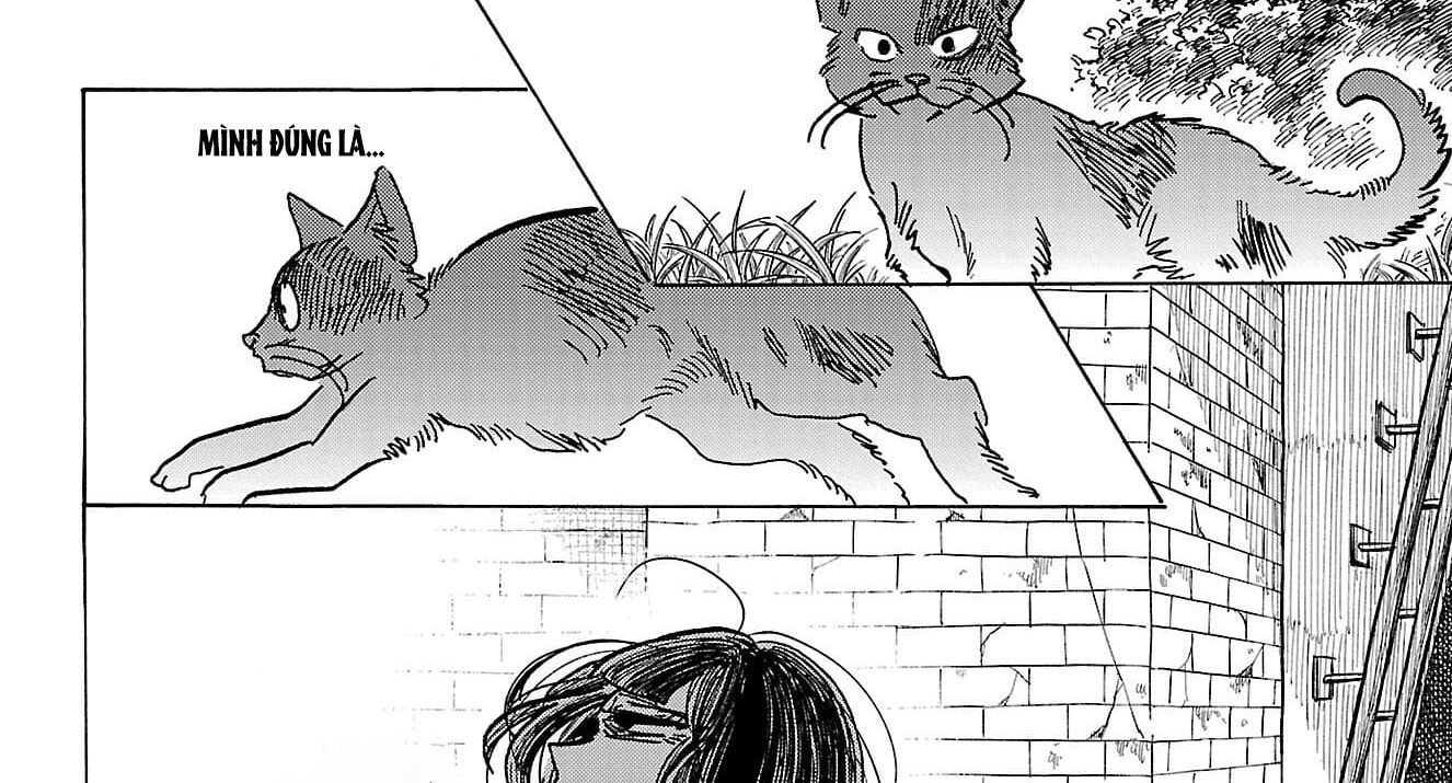 Sanda Chap 68 - Next Chap 69