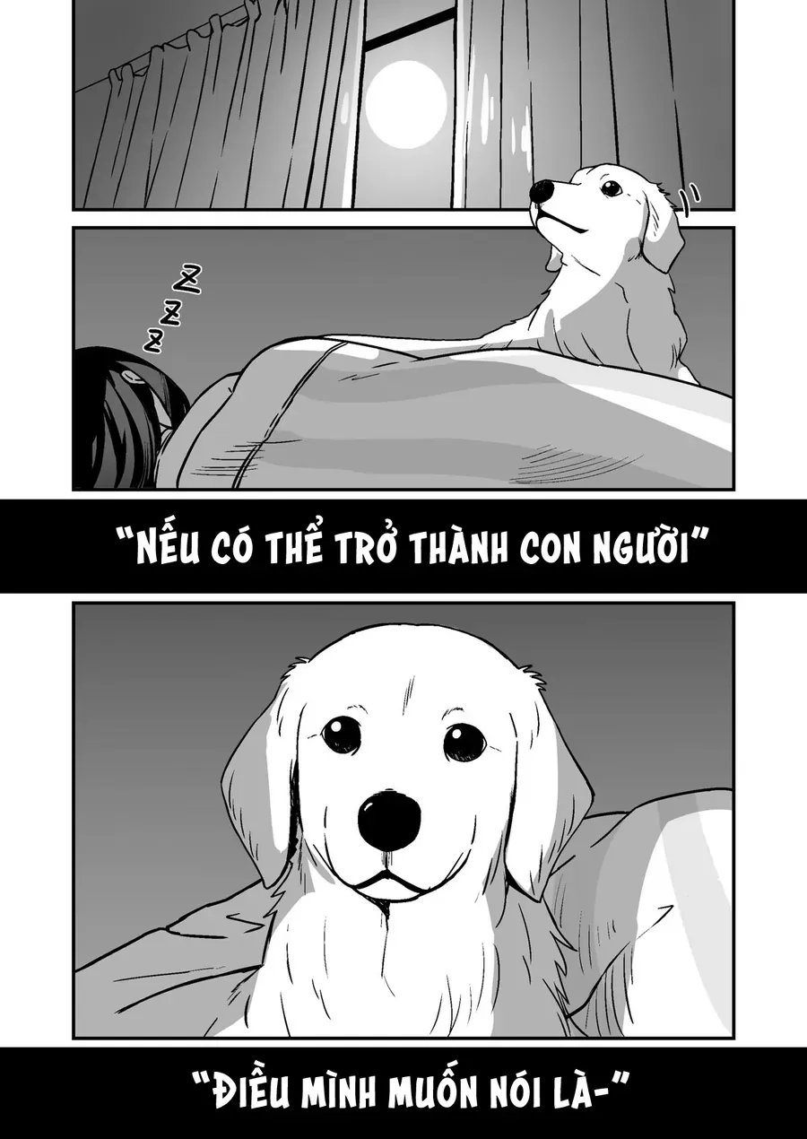 Chuyện Về Cô Cún Cưng Hóa Thành Người Chap 1 - Next Chap 2