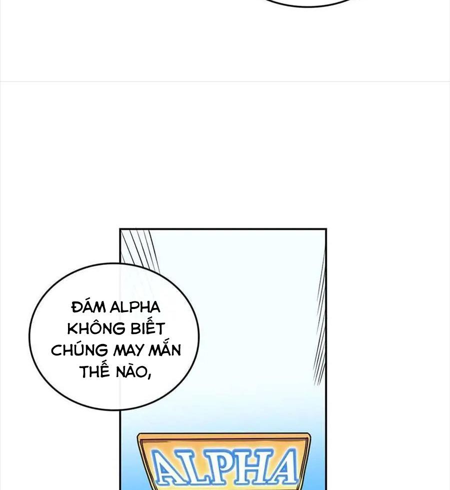 Phép Thuật Của Người Trở Về Phải Đặc Biệt Chap 15 - Next Chap 16