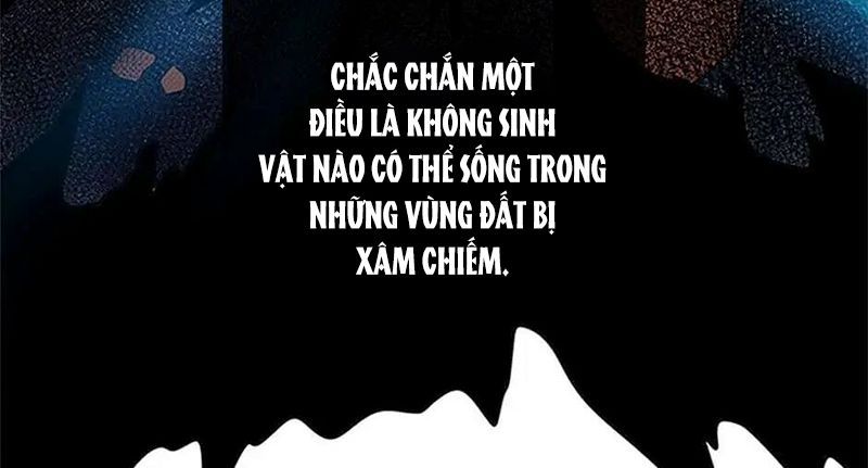 Phép Thuật Của Người Trở Về Phải Đặc Biệt Chap 2 - Next Chap 3