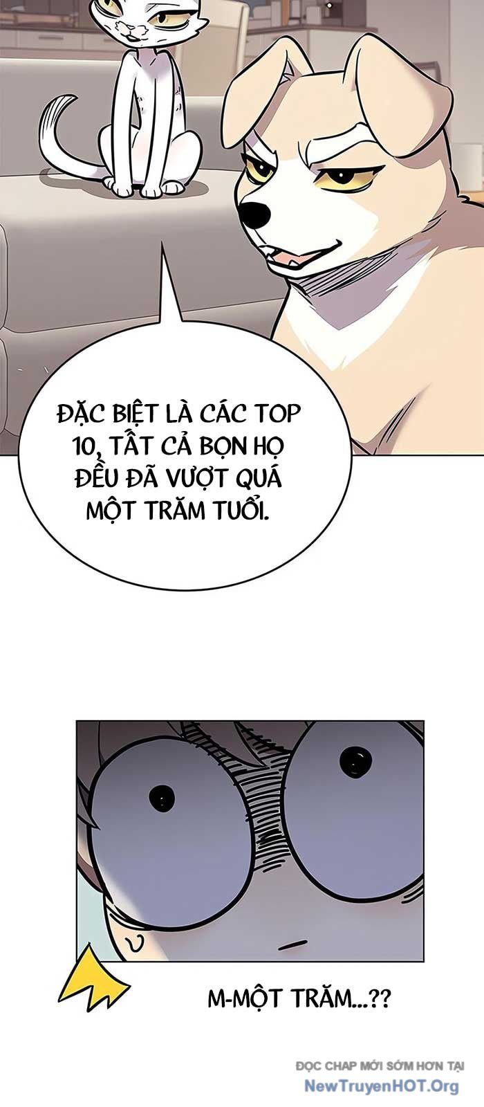 Hóa Thân Thành Mèo Chap 375 - Next Chap 376