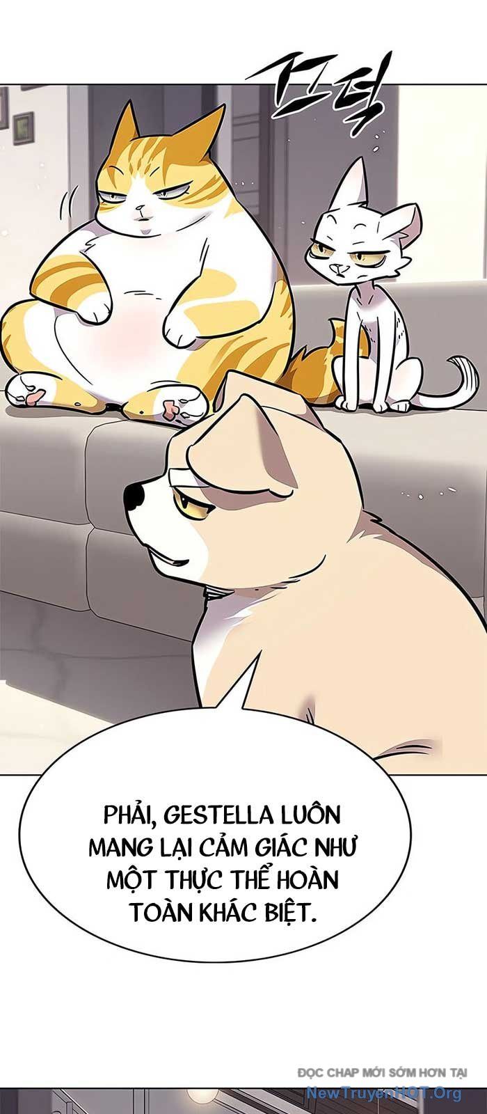 Hóa Thân Thành Mèo Chap 375 - Next Chap 376