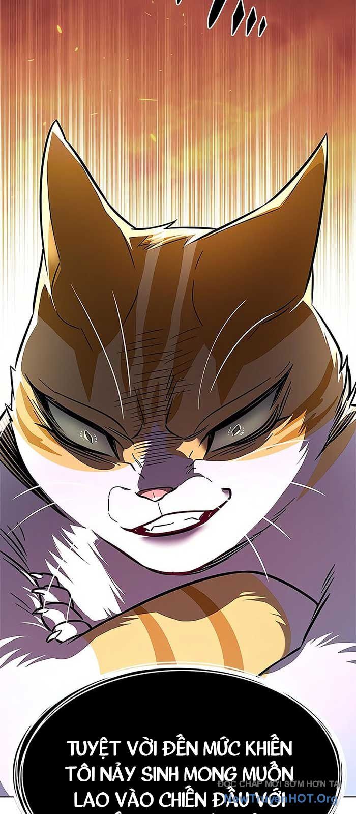 Hóa Thân Thành Mèo Chap 375 - Next Chap 376