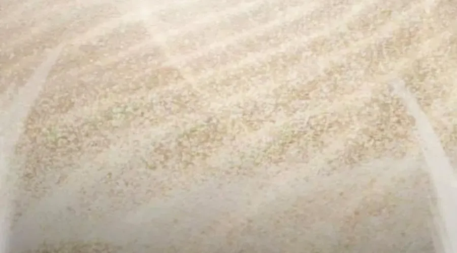 Cậu Bé Của Thần Chết Chap 301 - Next Chap 302