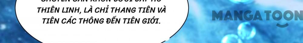 Đồ Đệ Của Ta Đều Là Nữ Ma Đầu Chap 197 - Next Chap 198