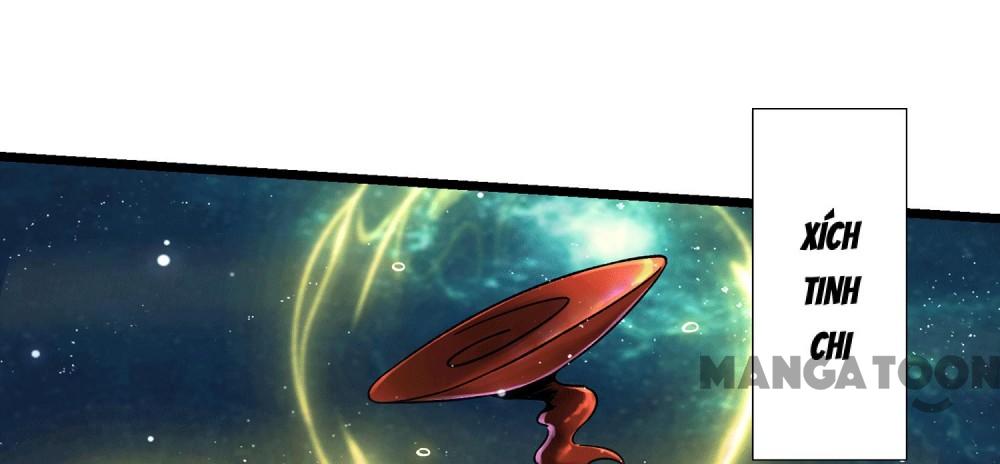 Đồ Đệ Của Ta Đều Là Nữ Ma Đầu Chap 202 - Next Chap 203