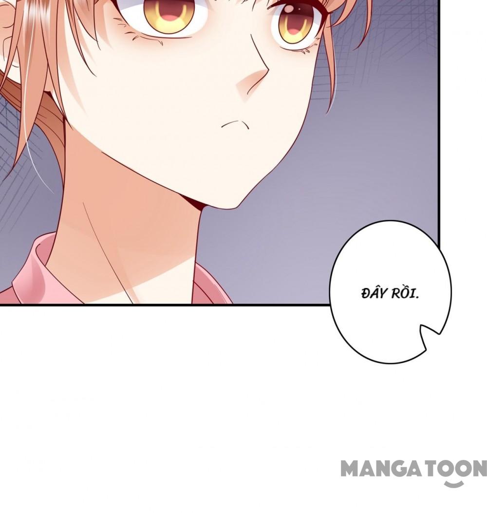 Hào Môn Thiên Giới Tiền Thê Chap 670 - Next Chap 671