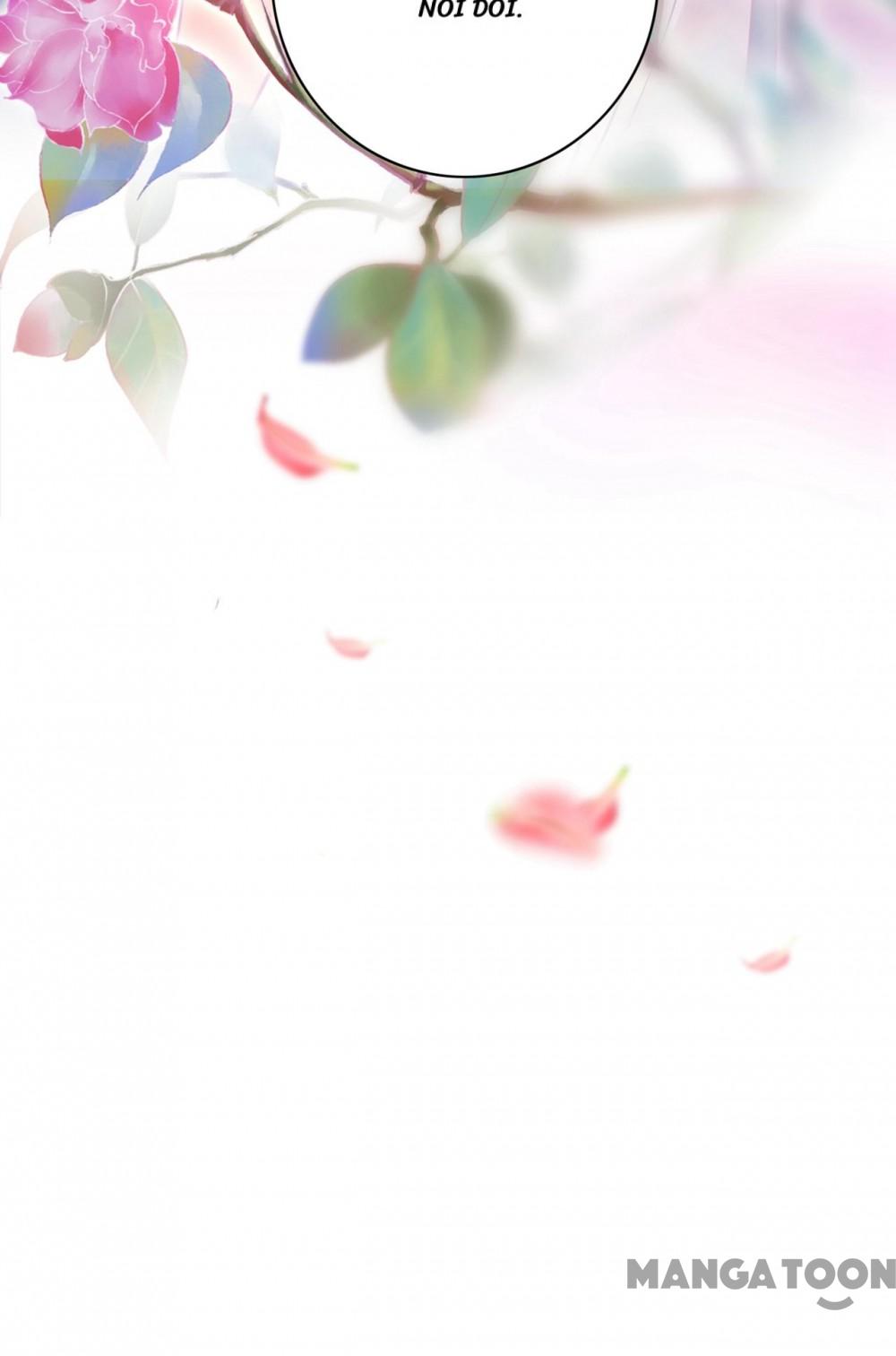 Hào Môn Thiên Giới Tiền Thê Chap 677 - Next Chap 678