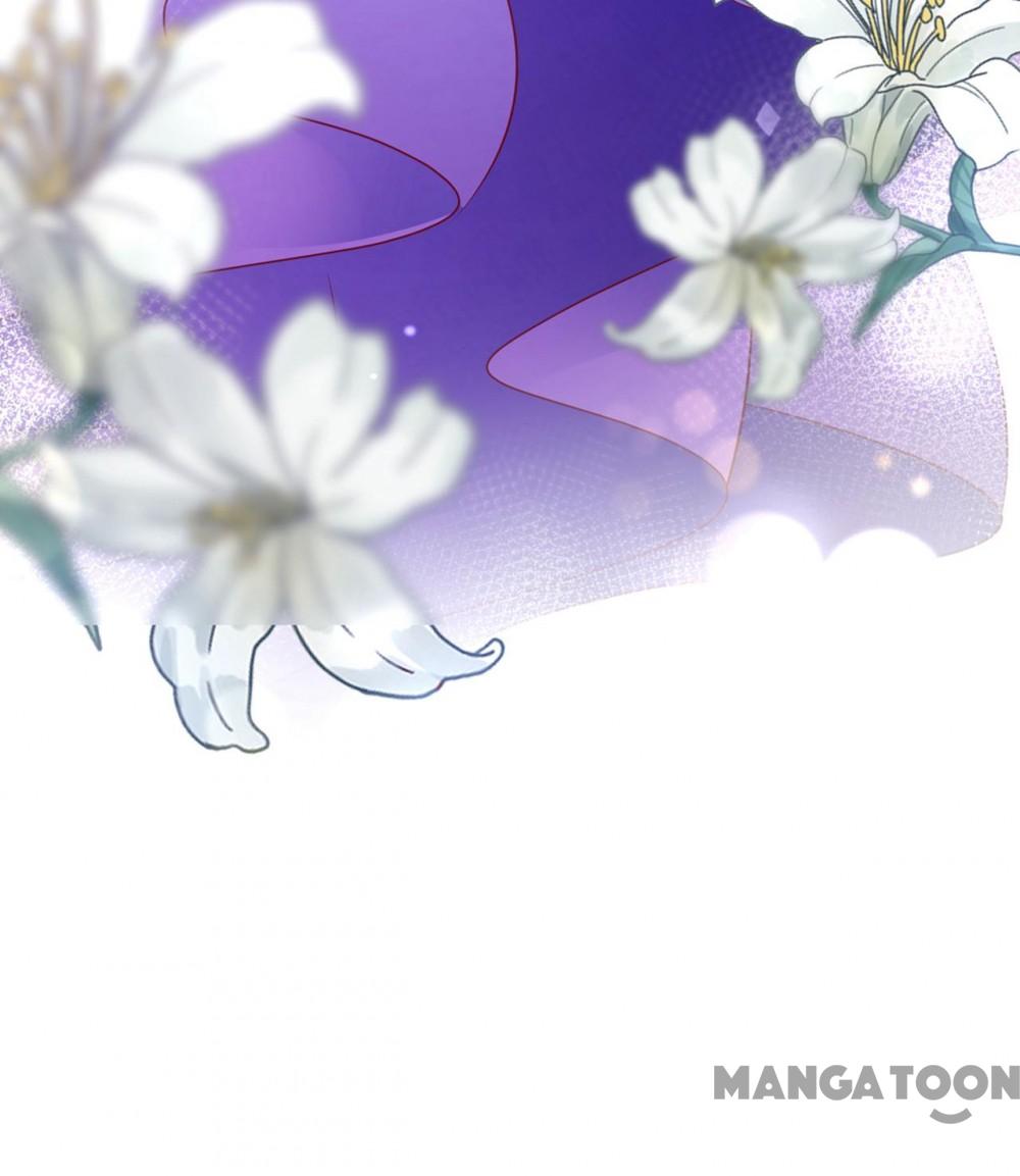 Hào Môn Thiên Giới Tiền Thê Chap 683 - Next Chap 684