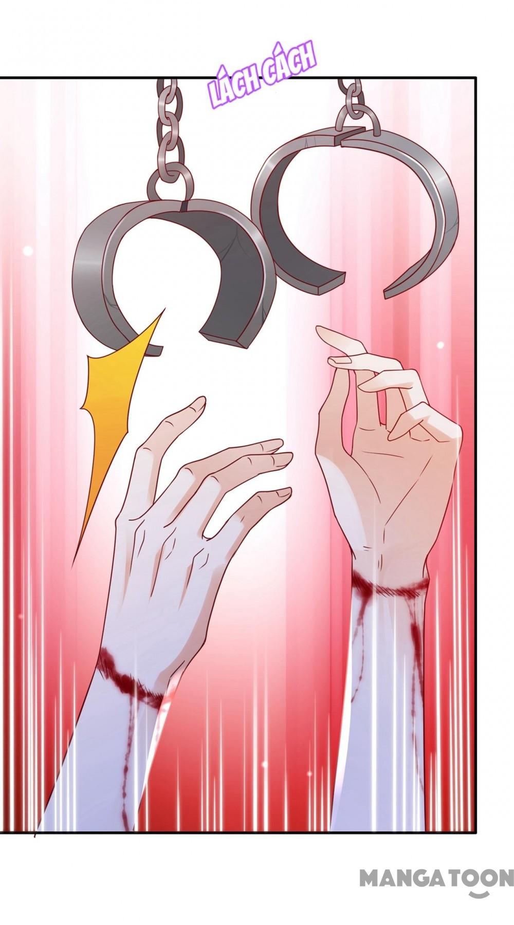 Hào Môn Thiên Giới Tiền Thê Chap 688 - Next Chap 689