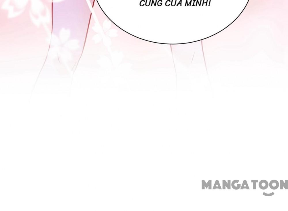 Hào Môn Thiên Giới Tiền Thê Chap 690 - Next Chap 691