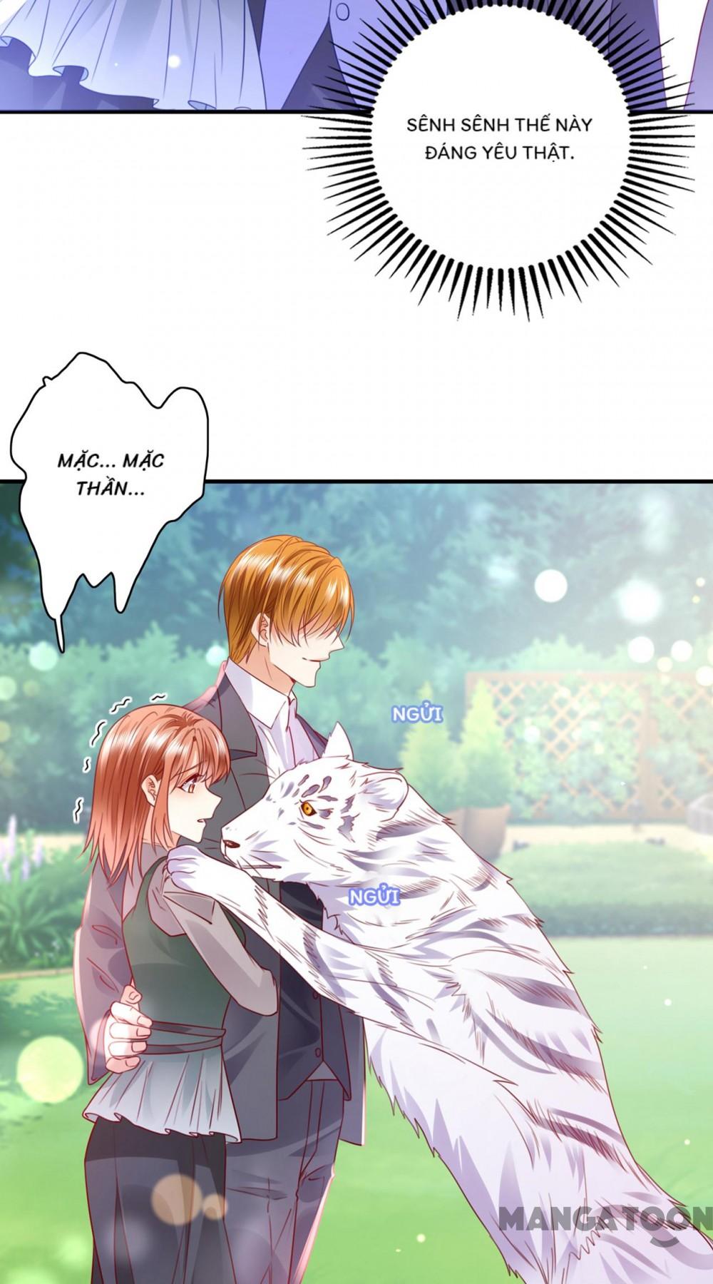 Hào Môn Thiên Giới Tiền Thê Chap 713 - Next Chap 714