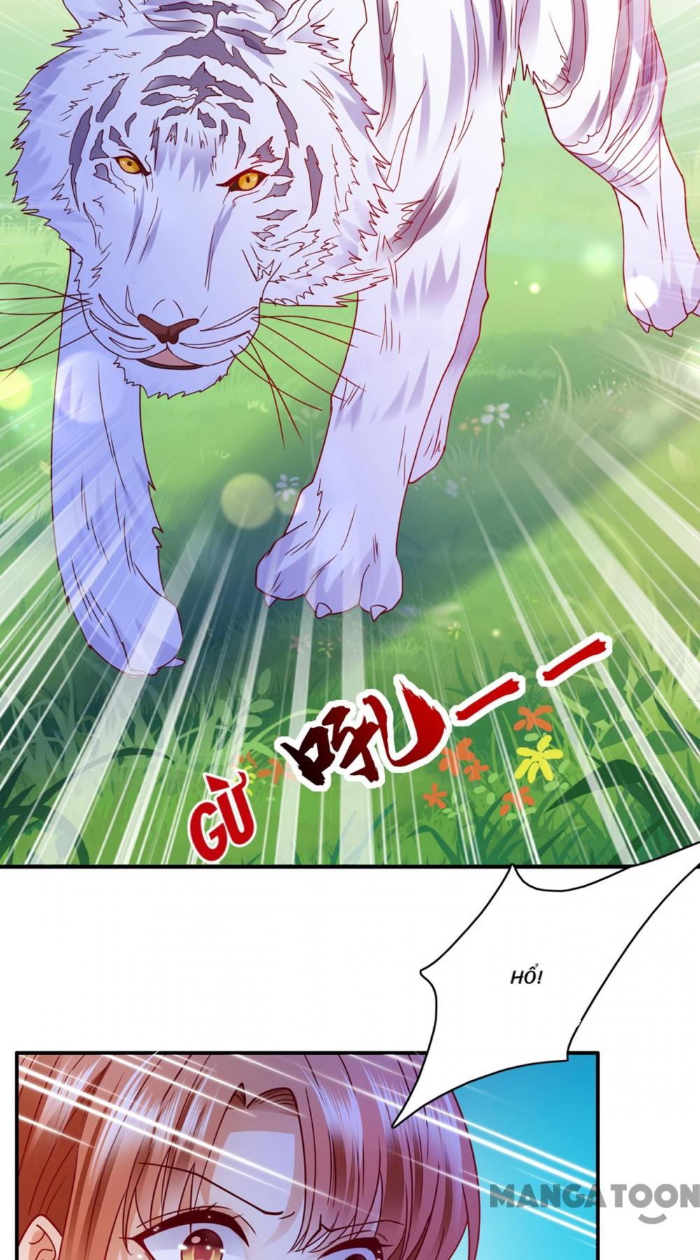 Hào Môn Thiên Giới Tiền Thê Chap 713 - Next Chap 714