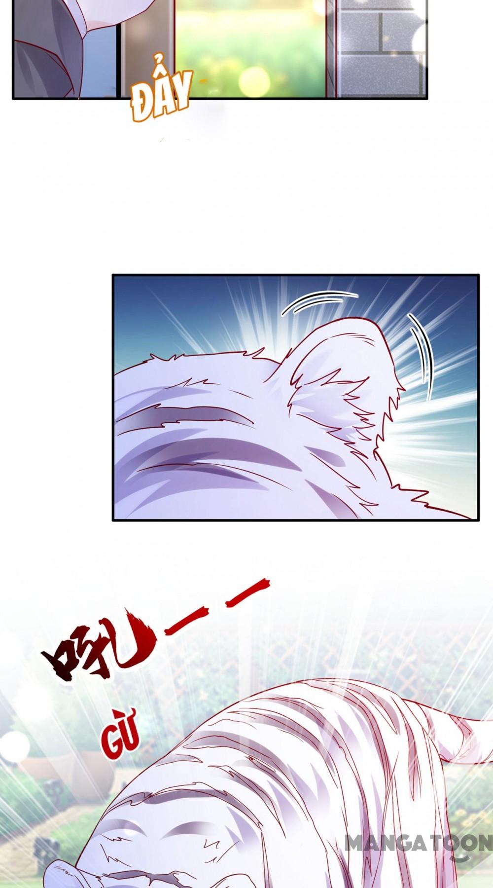 Hào Môn Thiên Giới Tiền Thê Chap 713 - Next Chap 714