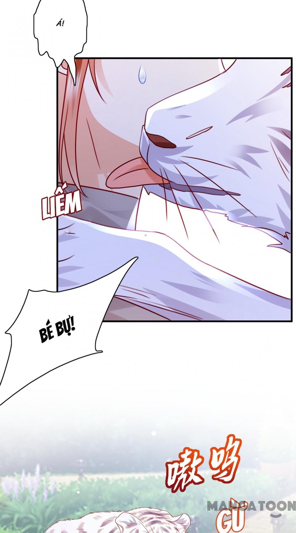 Hào Môn Thiên Giới Tiền Thê Chap 713 - Next Chap 714