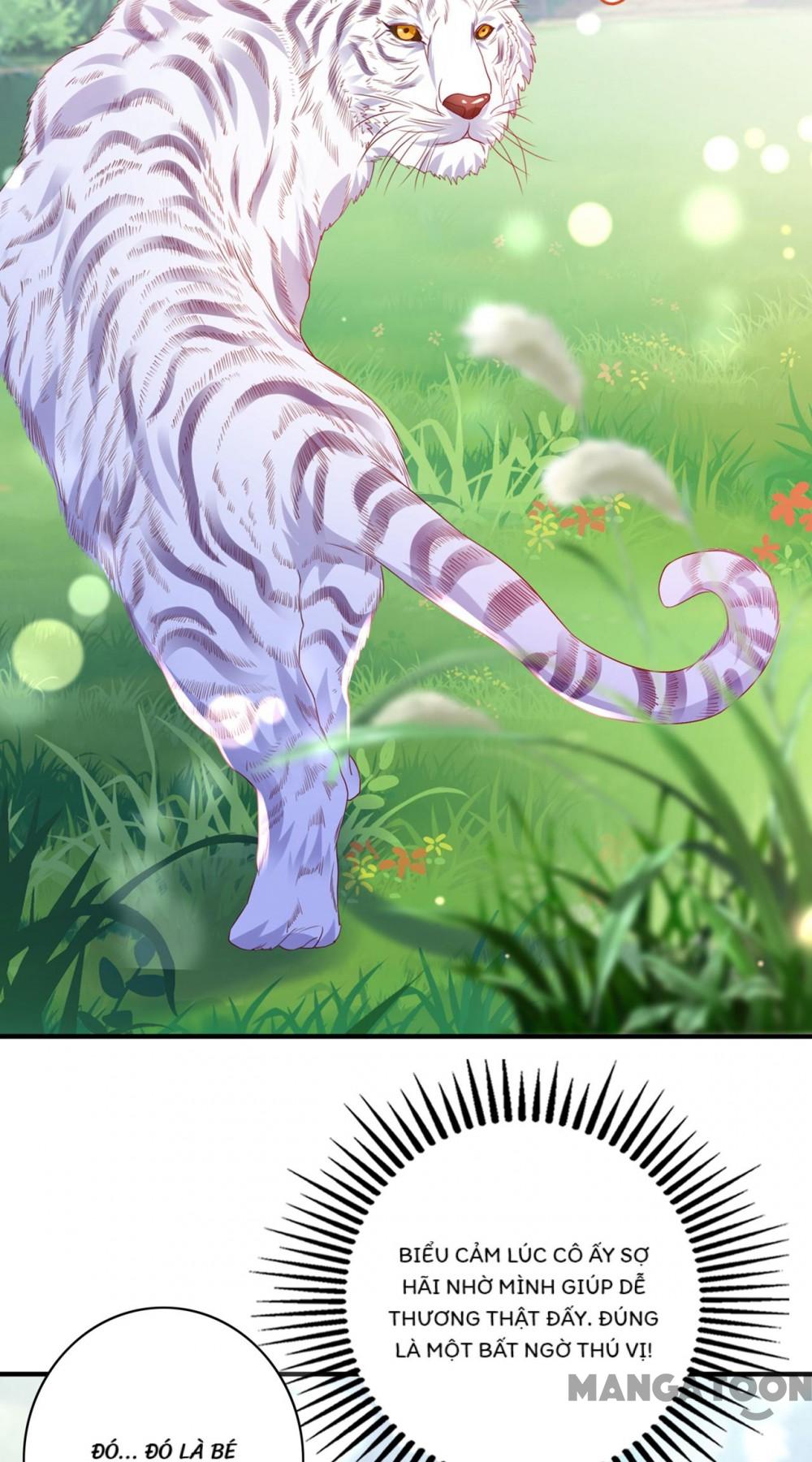 Hào Môn Thiên Giới Tiền Thê Chap 713 - Next Chap 714