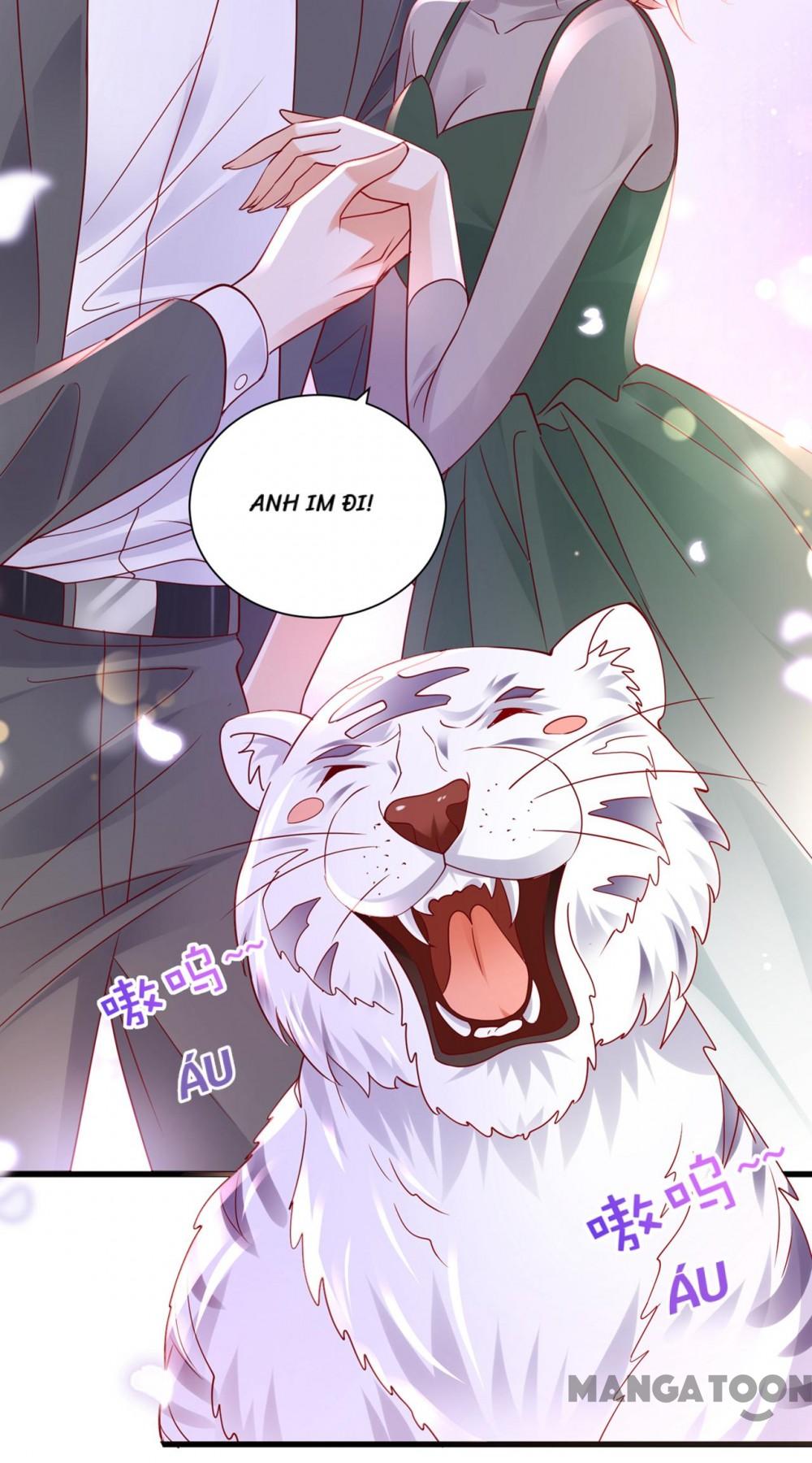 Hào Môn Thiên Giới Tiền Thê Chap 714 - Next Chap 715