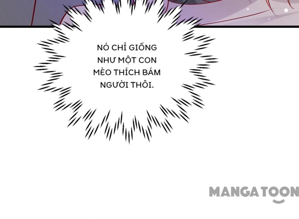 Hào Môn Thiên Giới Tiền Thê Chap 714 - Next Chap 715