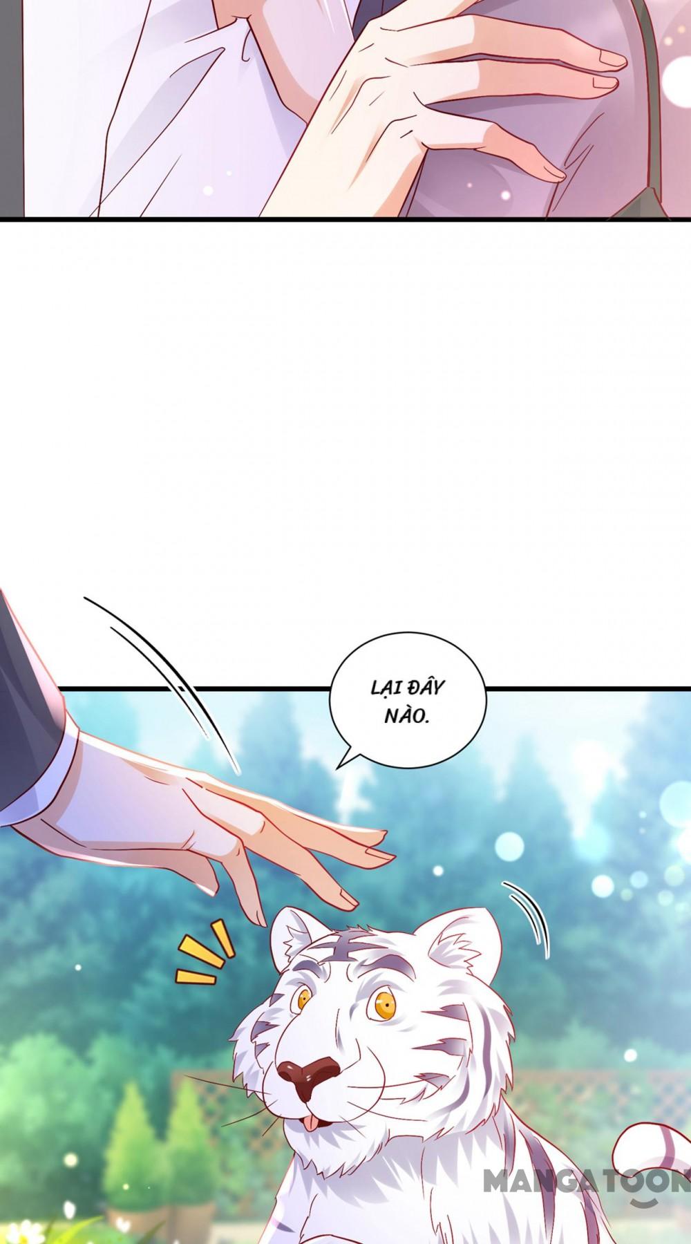 Hào Môn Thiên Giới Tiền Thê Chap 714 - Next Chap 715