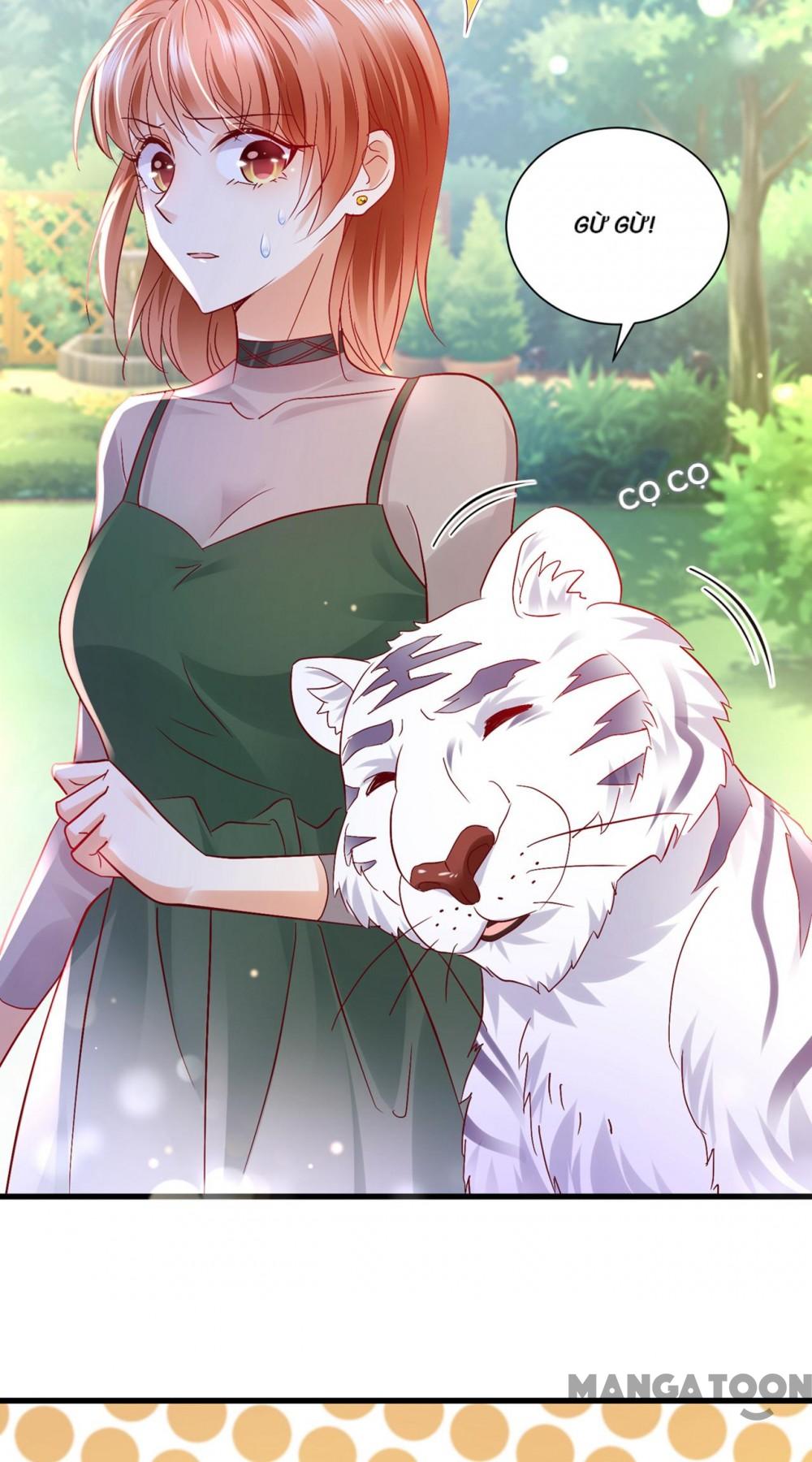 Hào Môn Thiên Giới Tiền Thê Chap 714 - Next Chap 715