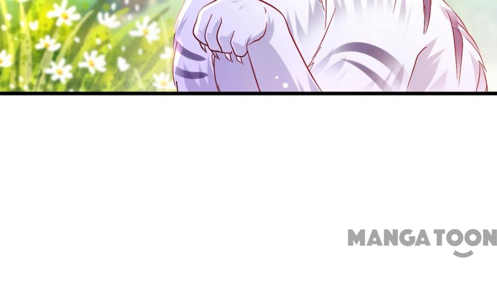 Hào Môn Thiên Giới Tiền Thê Chap 714 - Next Chap 715